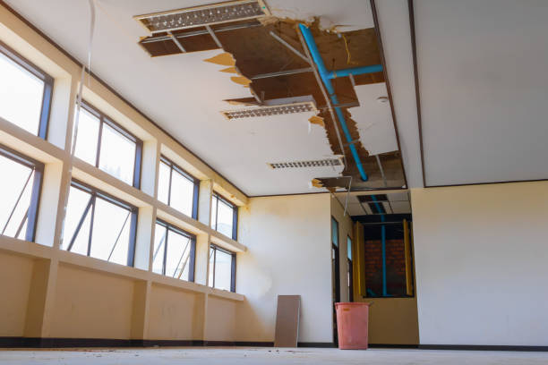 Best Flooded house restoration  in Lanham, MD