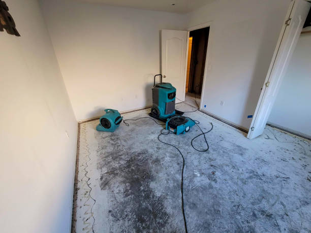 Best Water damage cleanup near me  in Lanham, MD