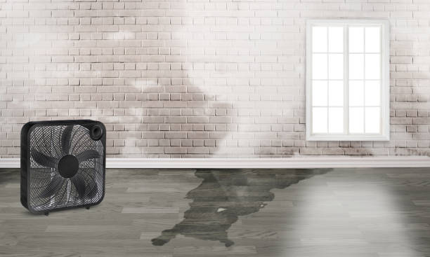 Best Water damage restoration experts  in Lanham, MD